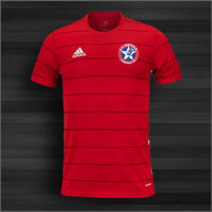 Adidas Campeon 21 Jersey (Red)