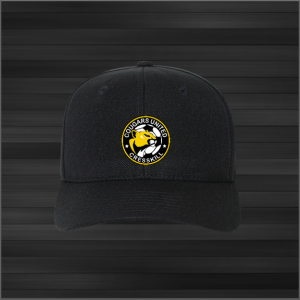 Cougars United Baseball Cap